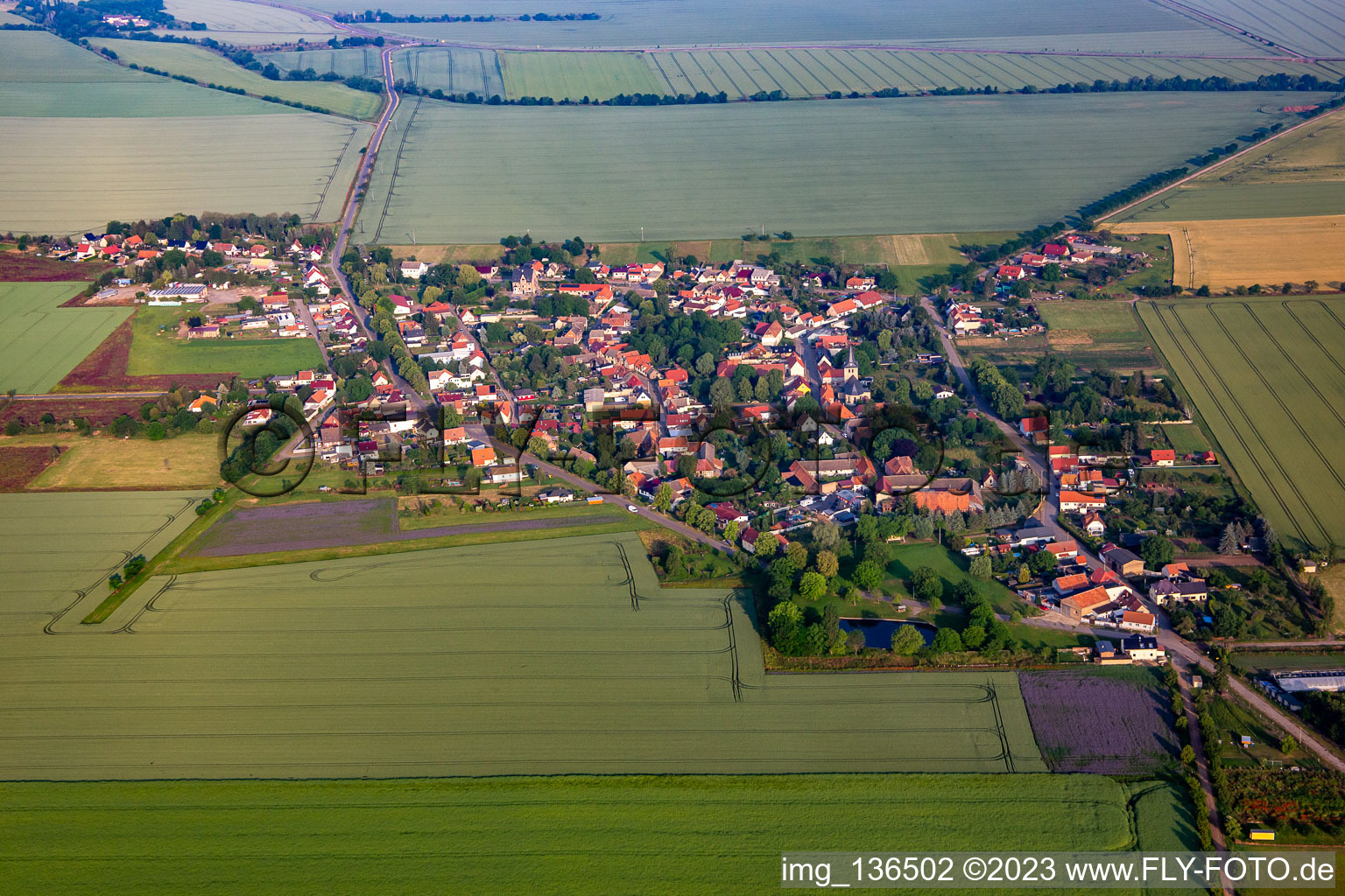 Vue aérienne de De l'est à le quartier Radisleben in Ballenstedt dans le département Saxe-Anhalt, Allemagne