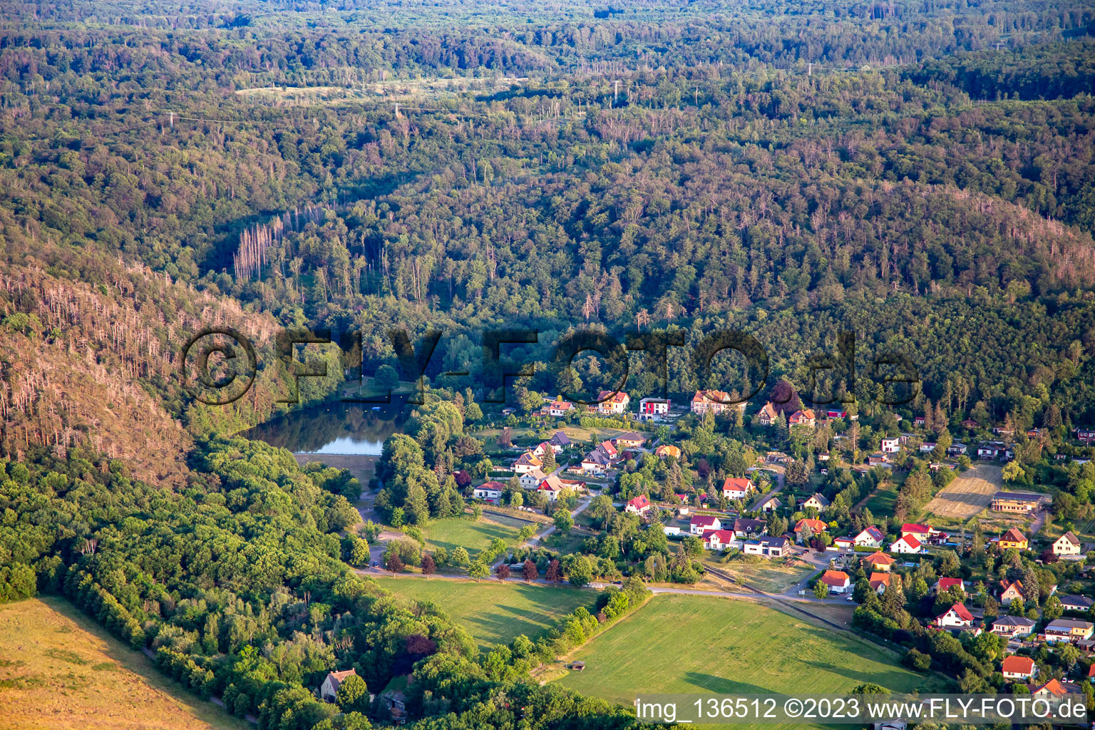 Vue aérienne de Waldbad Osterteich à le quartier Gernrode in Quedlinburg dans le département Saxe-Anhalt, Allemagne