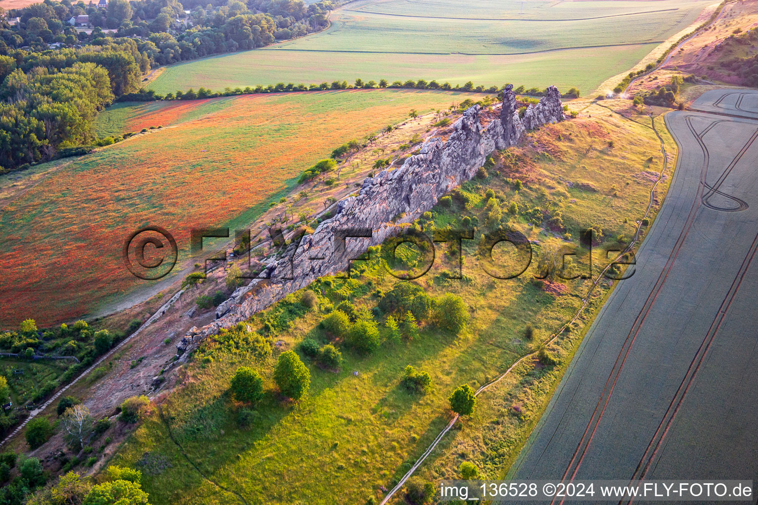 Vue oblique de Mur du Diable (Königsstein) depuis l'est à le quartier Weddersleben in Thale dans le département Saxe-Anhalt, Allemagne