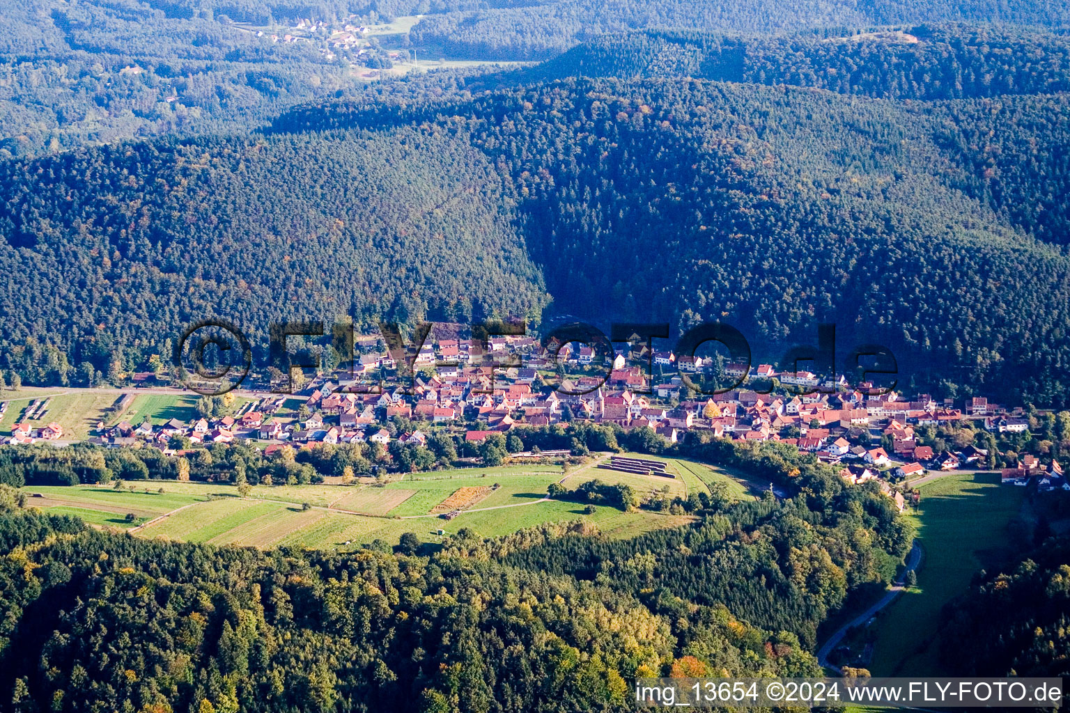 Vue aérienne de Champs agricoles et surfaces utilisables à Vorderweidenthal dans le département Rhénanie-Palatinat, Allemagne