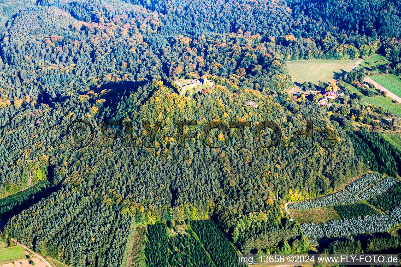 Vue aérienne de Ruines de Lindelbrunn à Darstein dans le département Rhénanie-Palatinat, Allemagne