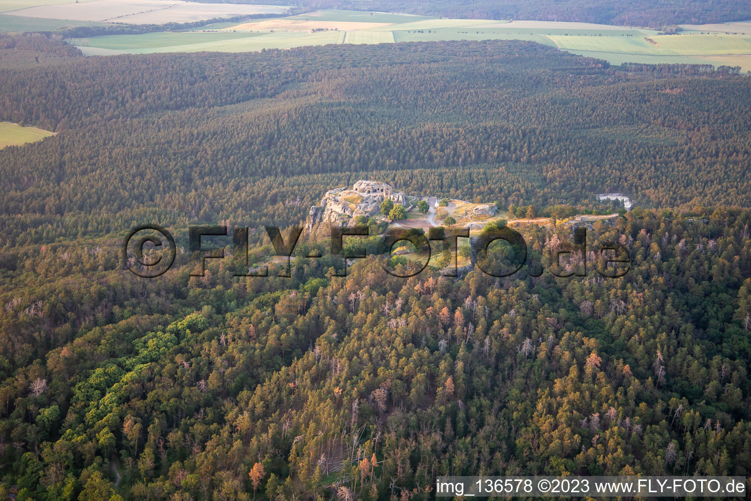 Vue aérienne de Château et forteresse de Regenstein à Blankenburg dans le département Saxe-Anhalt, Allemagne