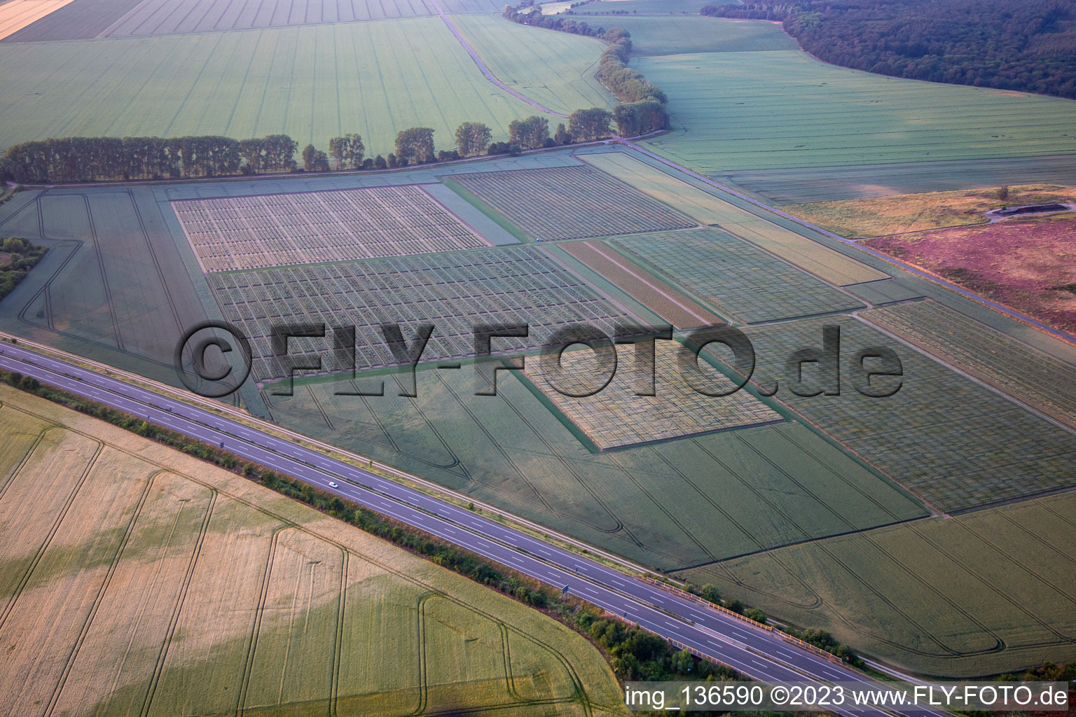 Vue aérienne de Champs de test à le quartier Heimburg in Blankenburg dans le département Saxe-Anhalt, Allemagne