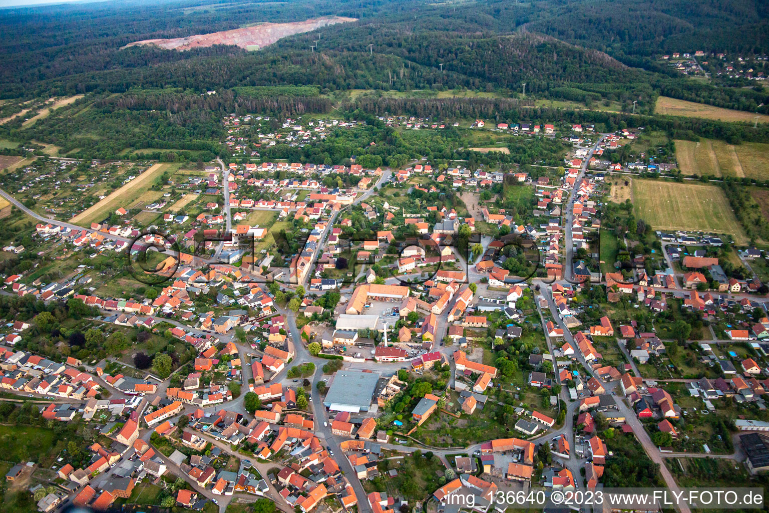 Vue aérienne de Du nord à le quartier Rieder in Ballenstedt dans le département Saxe-Anhalt, Allemagne