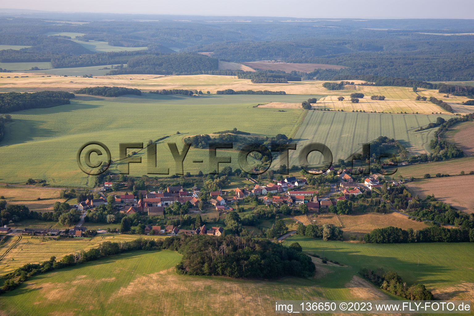 Vue aérienne de Quartier Wieserode in Falkenstein dans le département Saxe-Anhalt, Allemagne