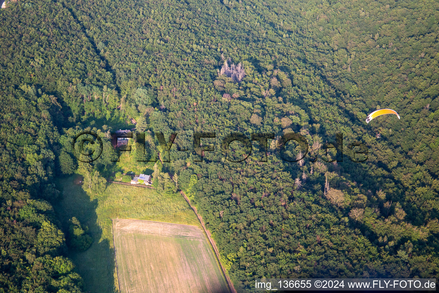 Vue aérienne de Quartier Biesenrode in Mansfeld dans le département Saxe-Anhalt, Allemagne