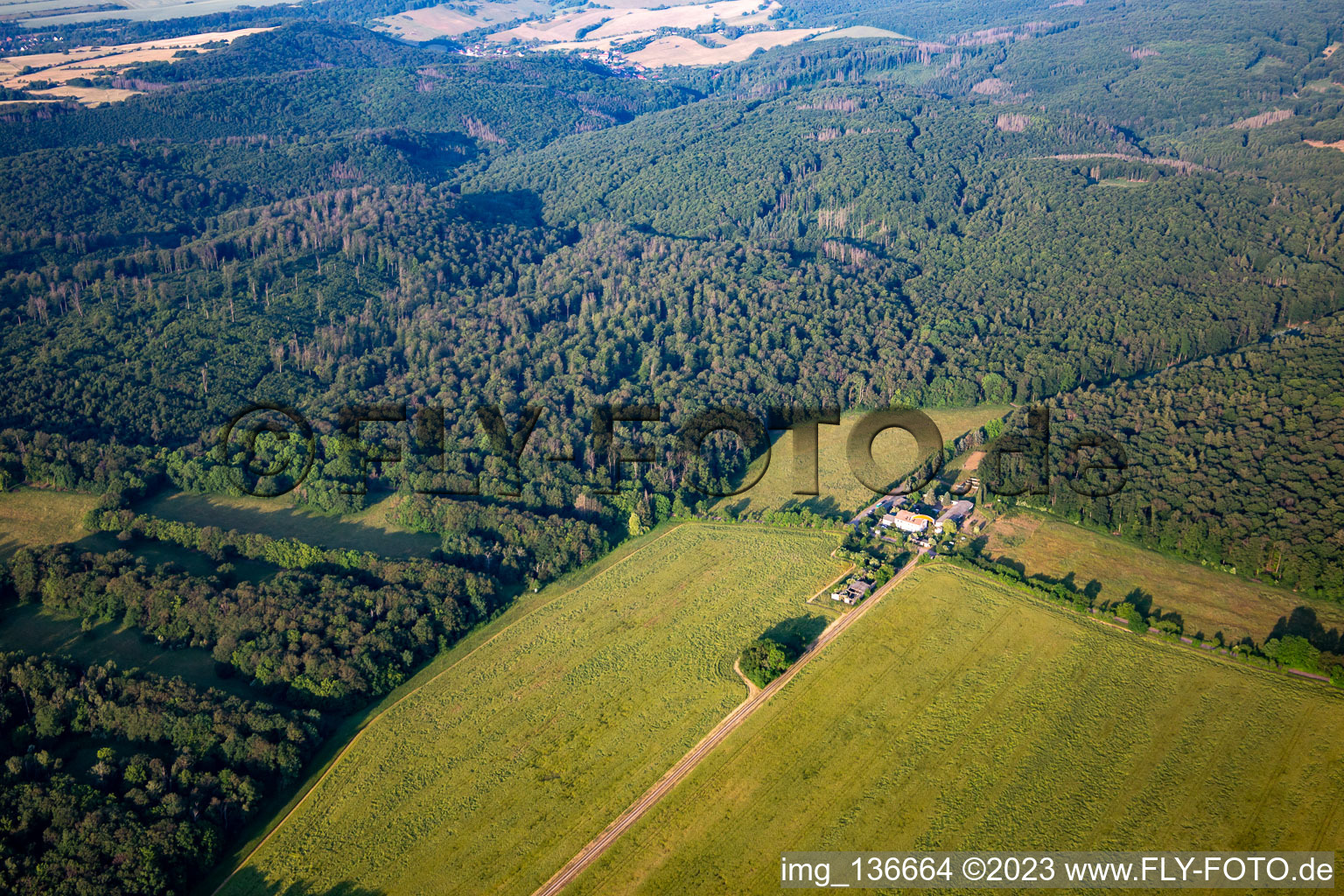 Vue aérienne de Arbuste de Ludwig à le quartier Grillenberg in Sangerhausen dans le département Saxe-Anhalt, Allemagne