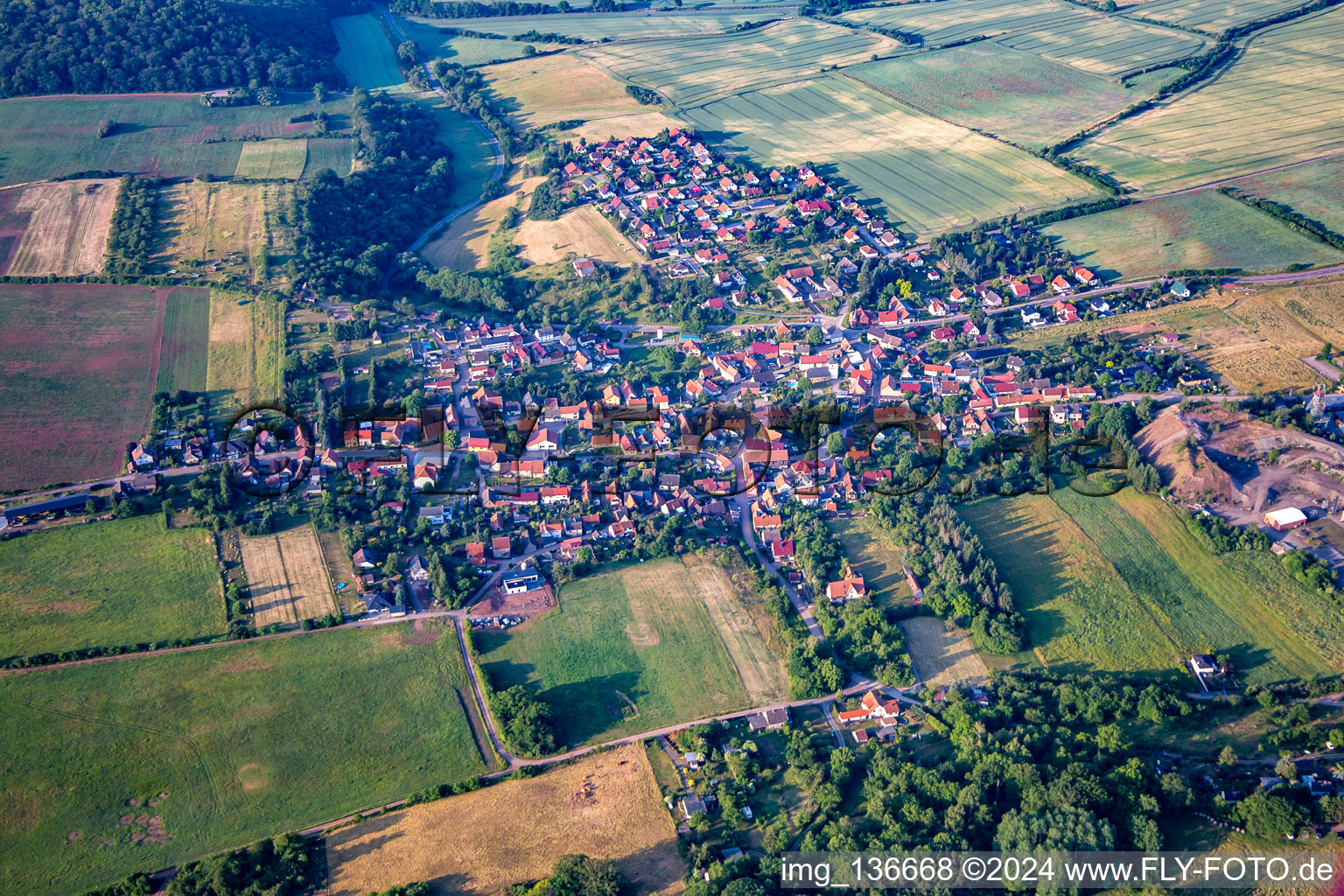 Vue aérienne de Quartier Wettelrode in Sangerhausen dans le département Saxe-Anhalt, Allemagne