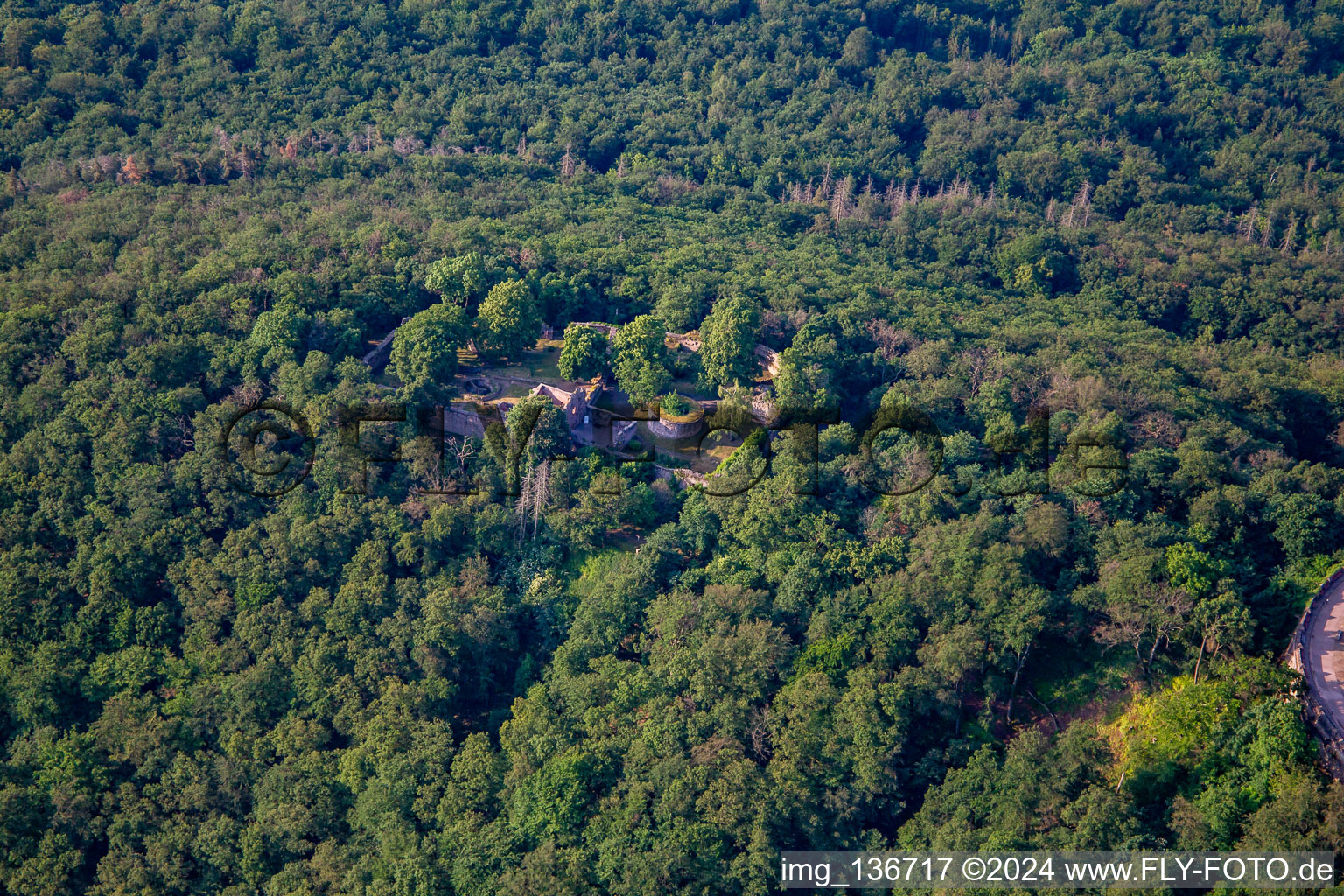 Vue aérienne de Château inférieur de Kyffhäuser à Kyffhäuserland dans le département Thuringe, Allemagne