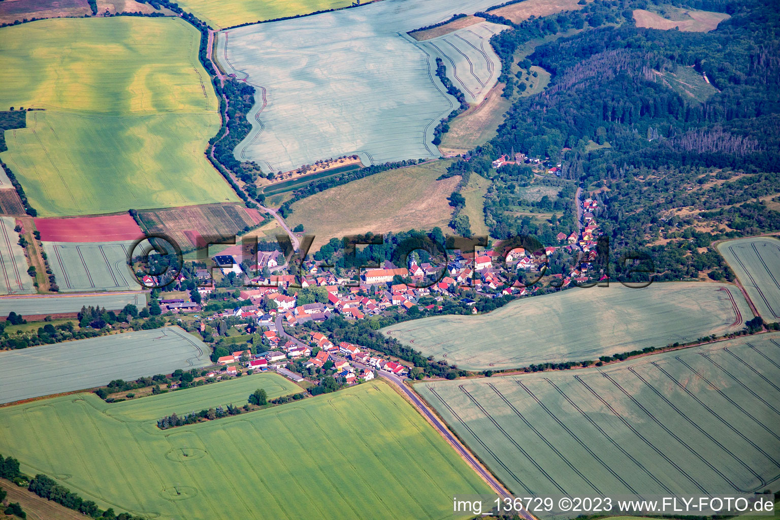 Vue aérienne de Quartier Wickerode in Südharz dans le département Saxe-Anhalt, Allemagne