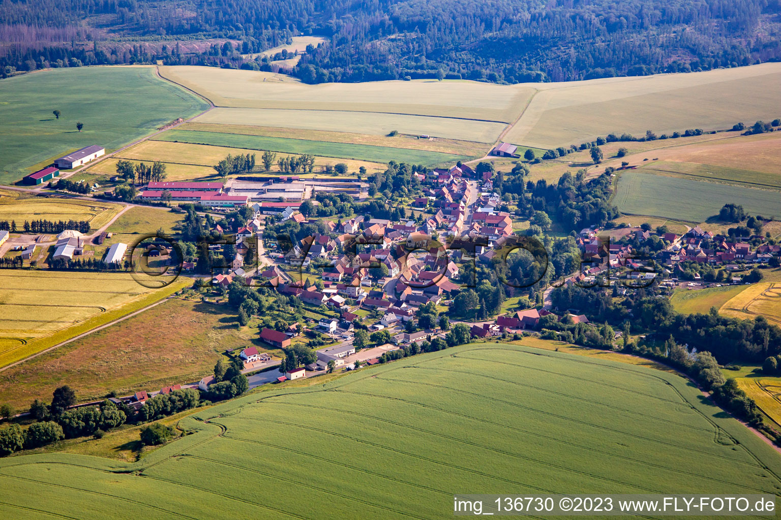 Vue aérienne de Quartier Rotha in Sangerhausen dans le département Saxe-Anhalt, Allemagne