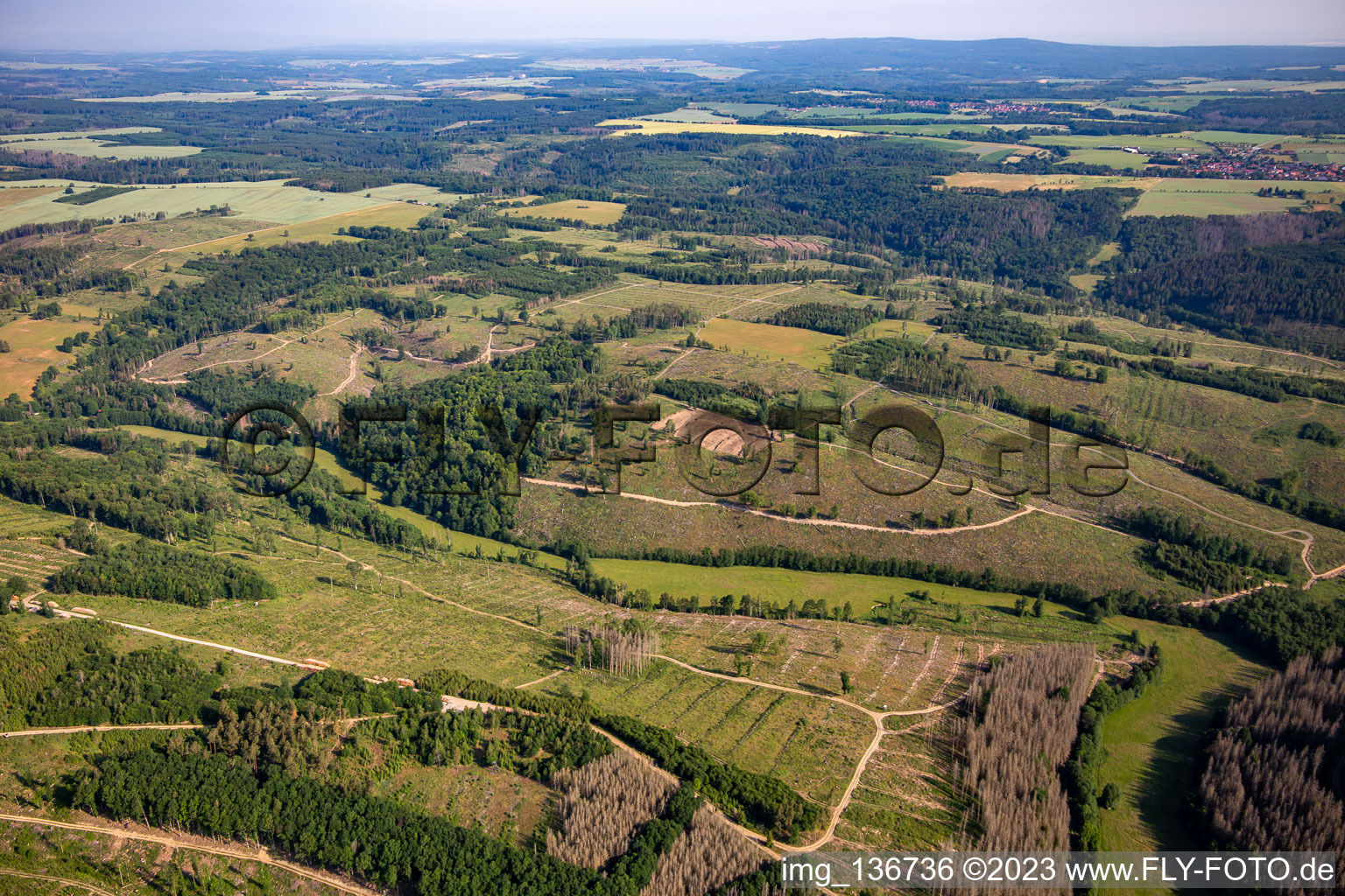 Vue aérienne de Vestiges de la forêt de scolytes et reboisement à le quartier Dankerode in Harzgerode dans le département Saxe-Anhalt, Allemagne