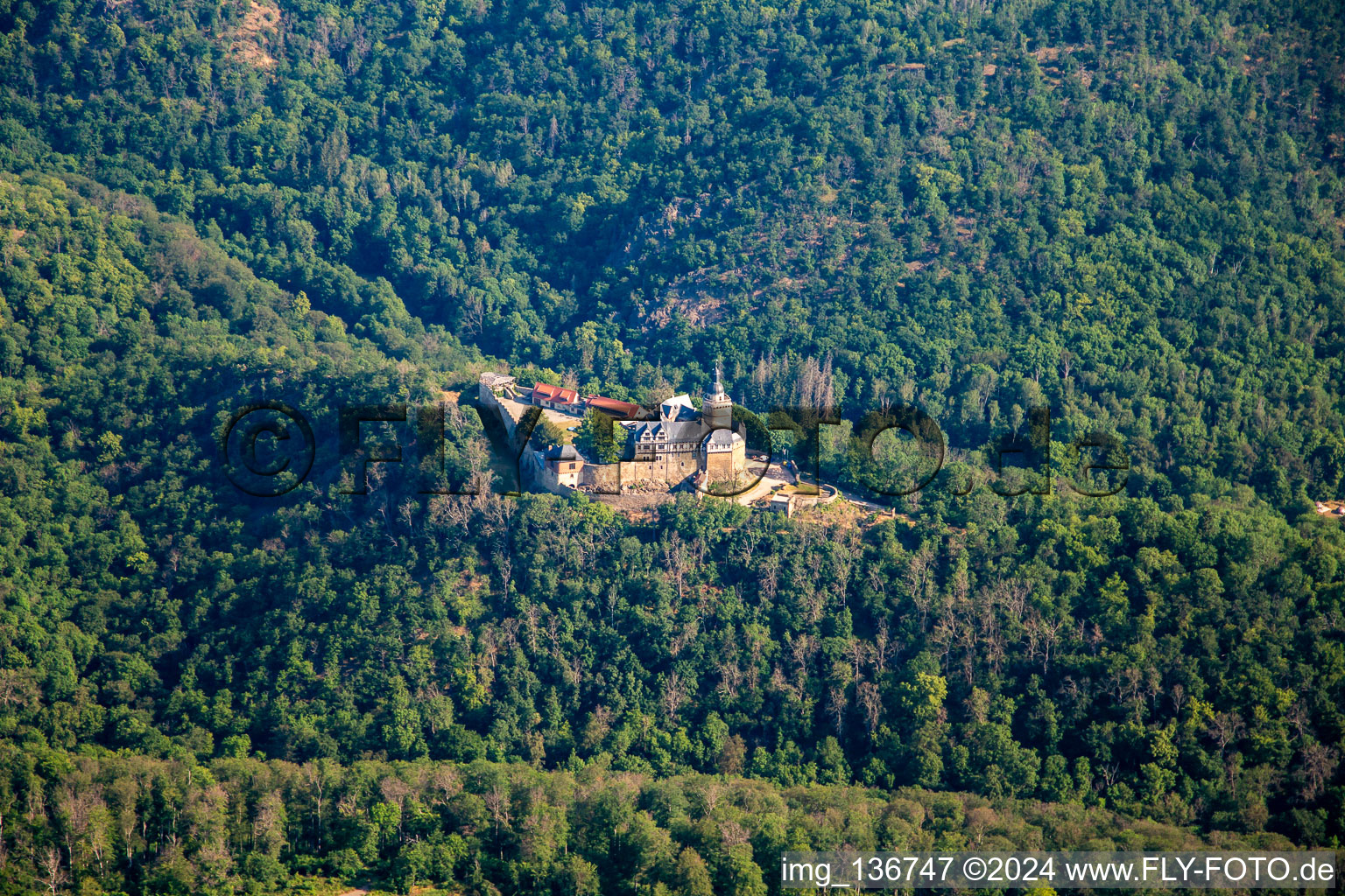 Vue aérienne de Château Falkenstein (Résine) à le quartier Pansfelde in Falkenstein dans le département Saxe-Anhalt, Allemagne