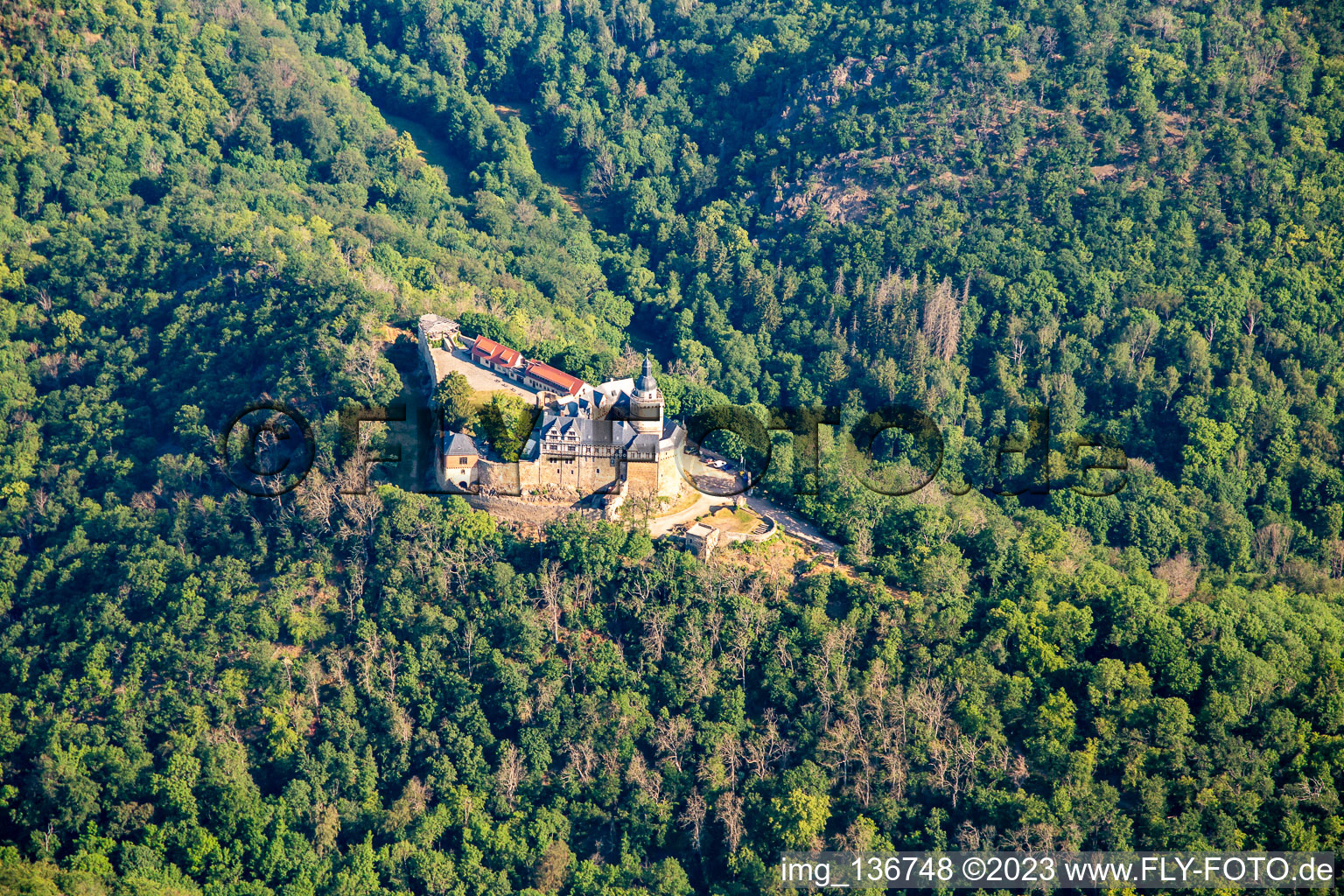 Photographie aérienne de Château Falkenstein (Résine) à le quartier Pansfelde in Falkenstein dans le département Saxe-Anhalt, Allemagne