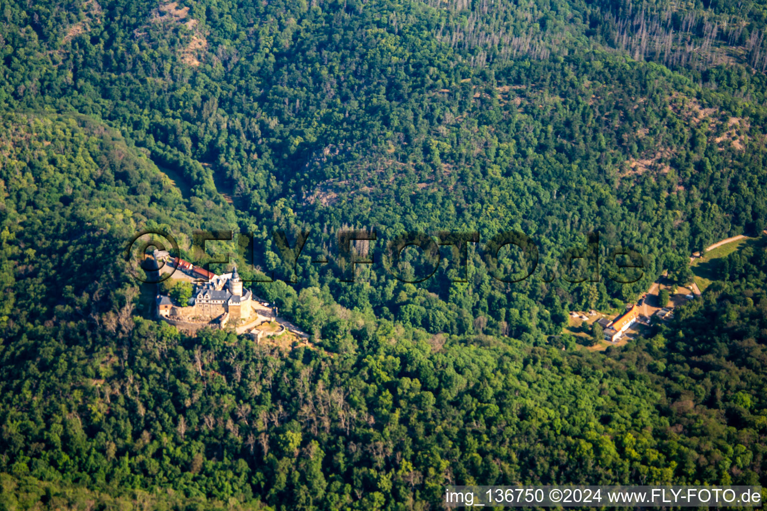 Vue oblique de Château Falkenstein (Résine) à le quartier Pansfelde in Falkenstein dans le département Saxe-Anhalt, Allemagne