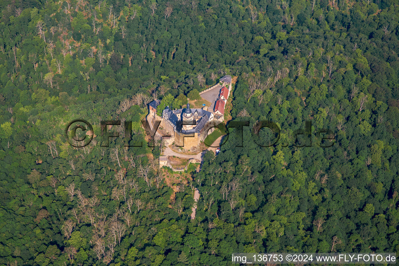 Château Falkenstein (Résine) à le quartier Pansfelde in Falkenstein dans le département Saxe-Anhalt, Allemagne vue d'en haut