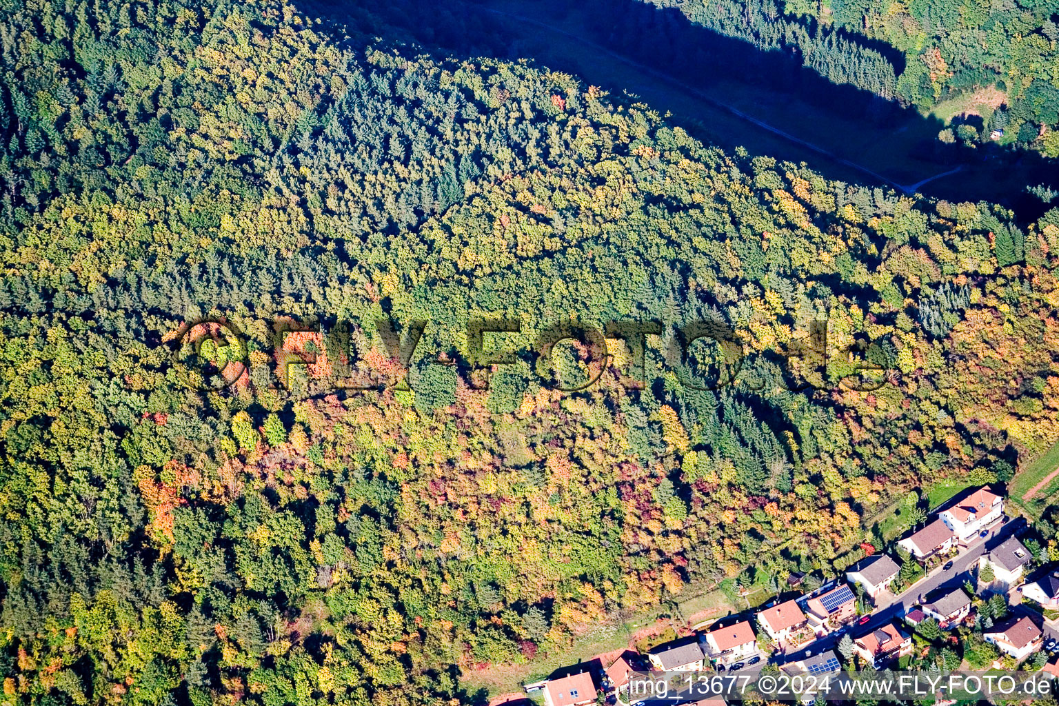 Image drone de Waldhambach dans le département Rhénanie-Palatinat, Allemagne