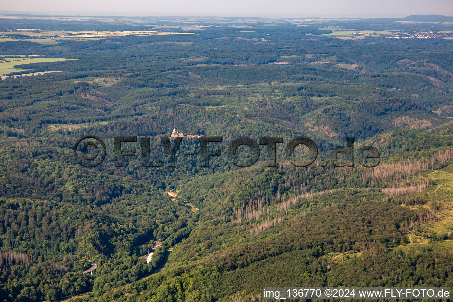 Vue aérienne de Château Falkenstein (Harz) et Senketal à le quartier Pansfelde in Falkenstein dans le département Saxe-Anhalt, Allemagne