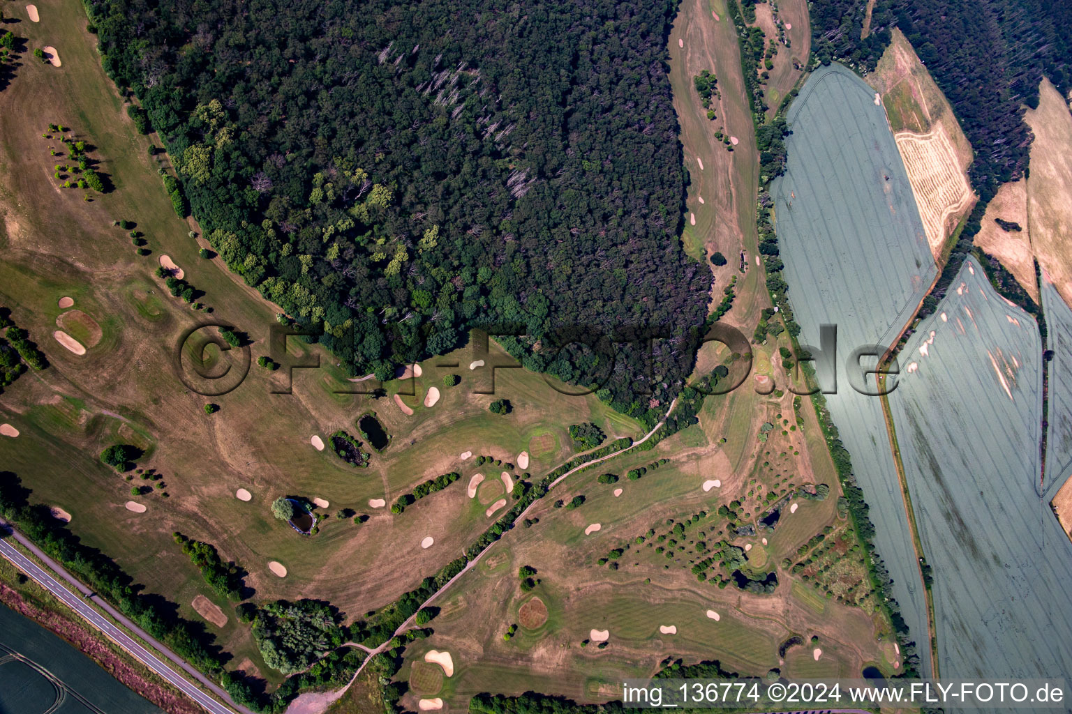 Club de golf Château Meisdorf eV à le quartier Meisdorf in Falkenstein dans le département Saxe-Anhalt, Allemagne hors des airs