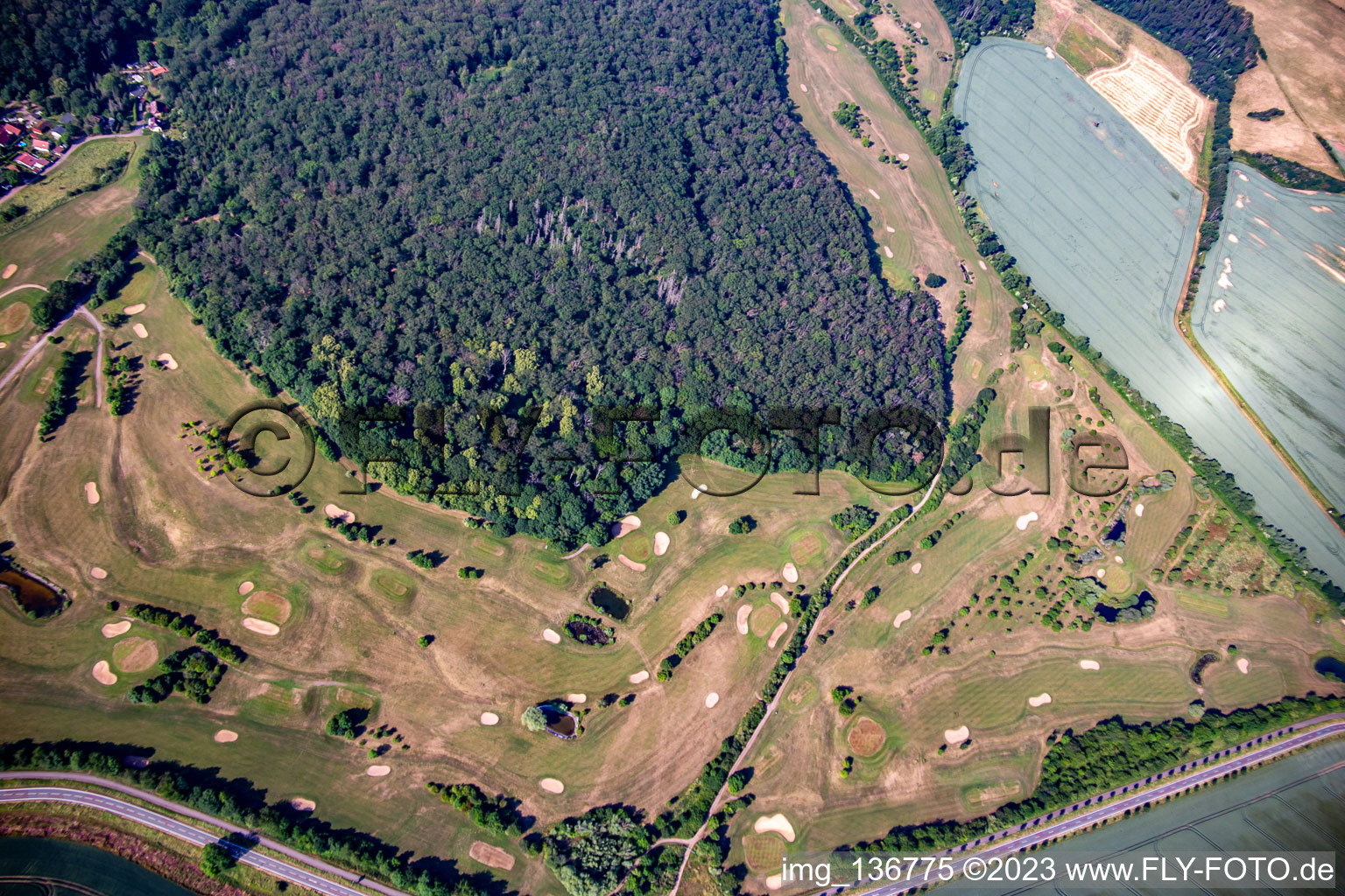 Club de golf Château Meisdorf eV à le quartier Meisdorf in Falkenstein dans le département Saxe-Anhalt, Allemagne vue d'en haut
