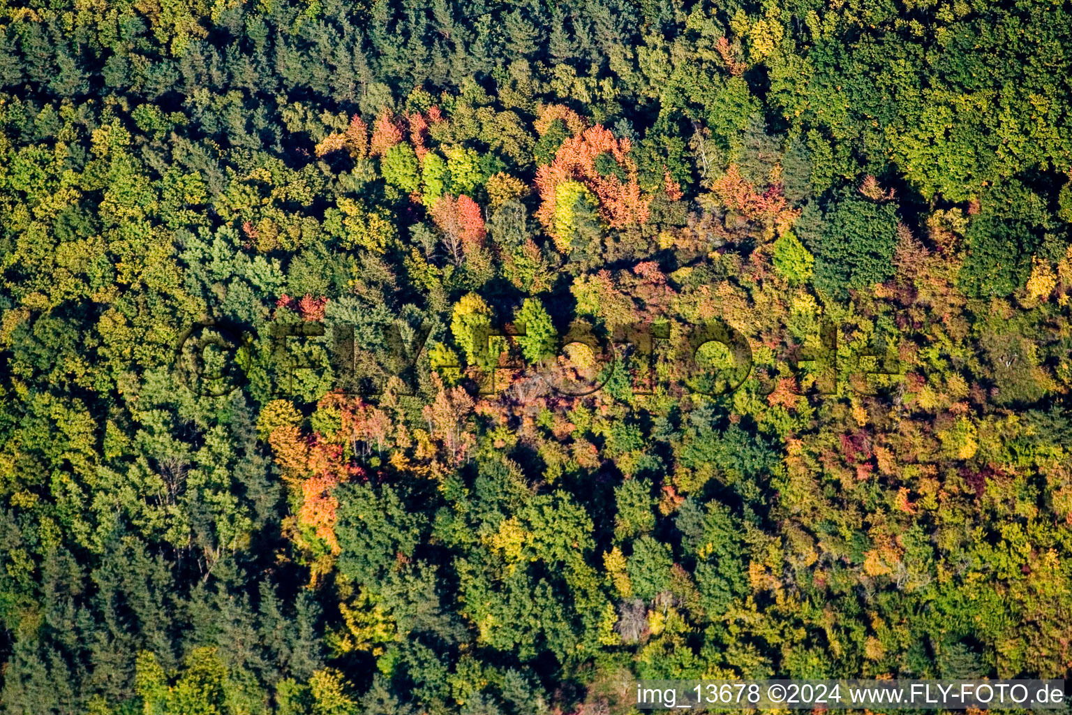 Waldhambach dans le département Rhénanie-Palatinat, Allemagne du point de vue du drone