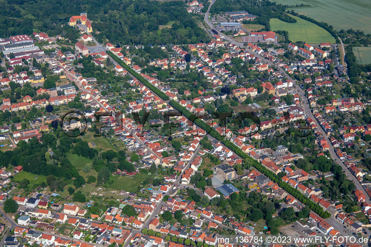 Vue aérienne de Avenue du château à Ballenstedt dans le département Saxe-Anhalt, Allemagne