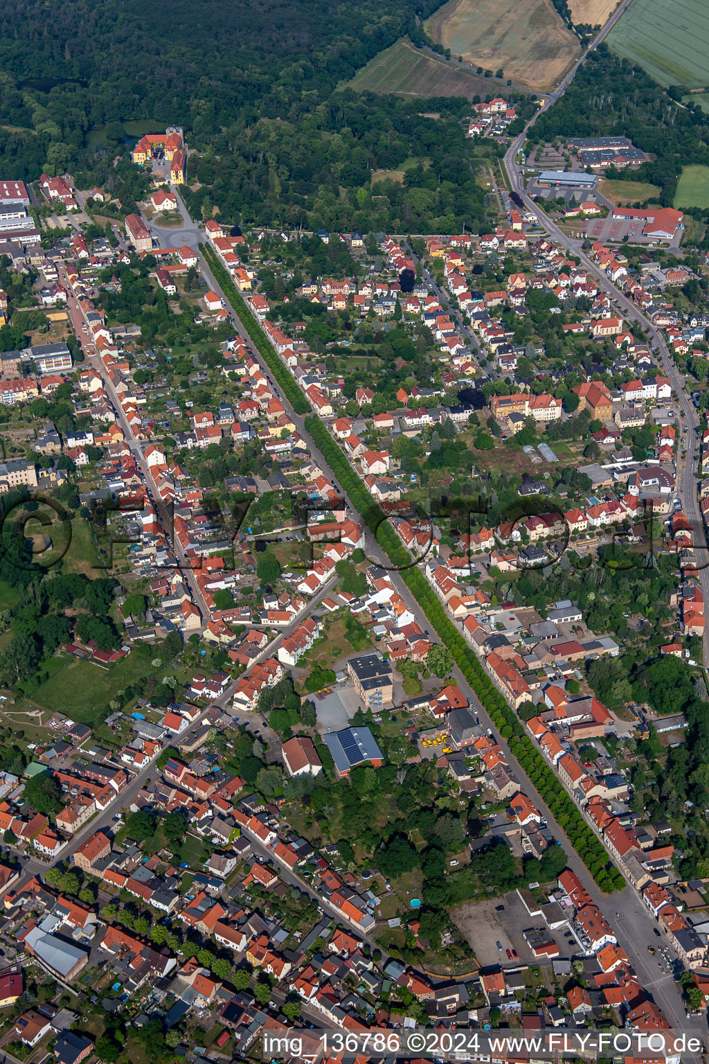 Vue aérienne de Avenue du château à Ballenstedt dans le département Saxe-Anhalt, Allemagne