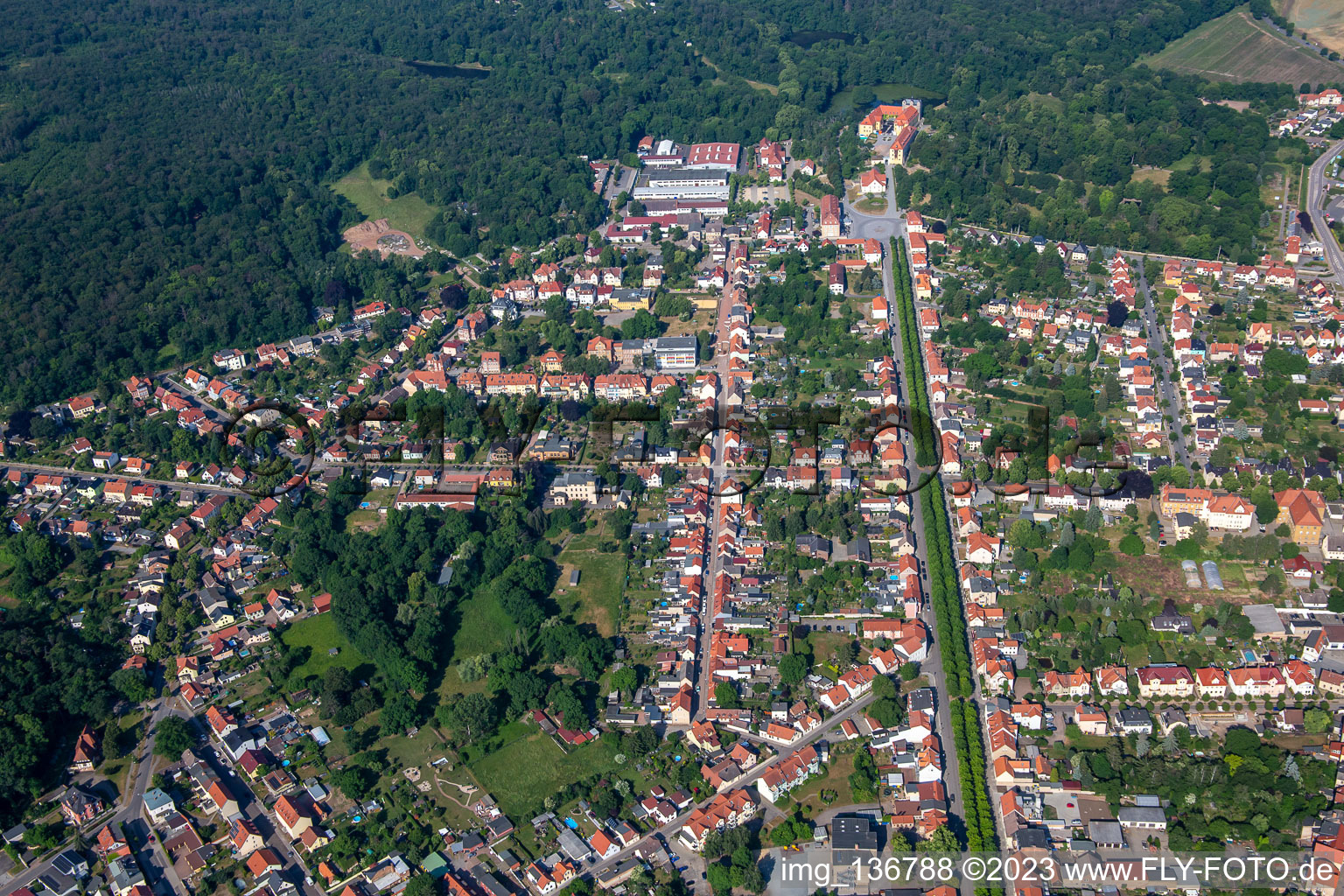 Photographie aérienne de Avenue du château à Ballenstedt dans le département Saxe-Anhalt, Allemagne