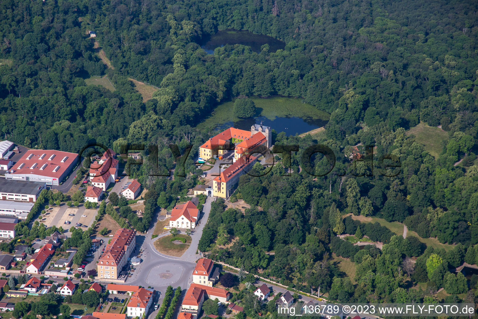 Vue aérienne de Château et parc du château avec étang du château Ballenstedt à Ballenstedt dans le département Saxe-Anhalt, Allemagne
