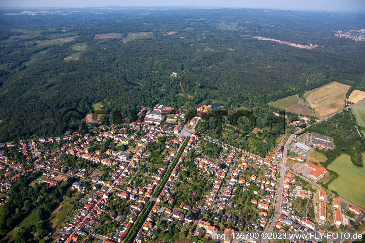 Photographie aérienne de Ballenstedt dans le département Saxe-Anhalt, Allemagne