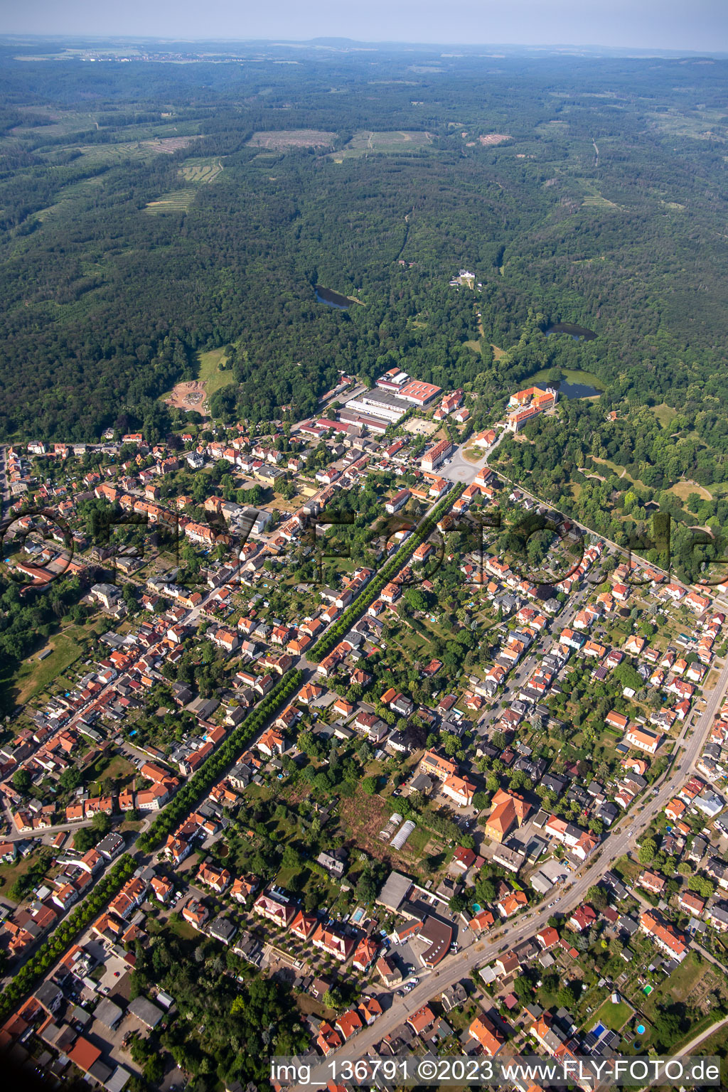 Vue oblique de Avenue du château à Ballenstedt dans le département Saxe-Anhalt, Allemagne