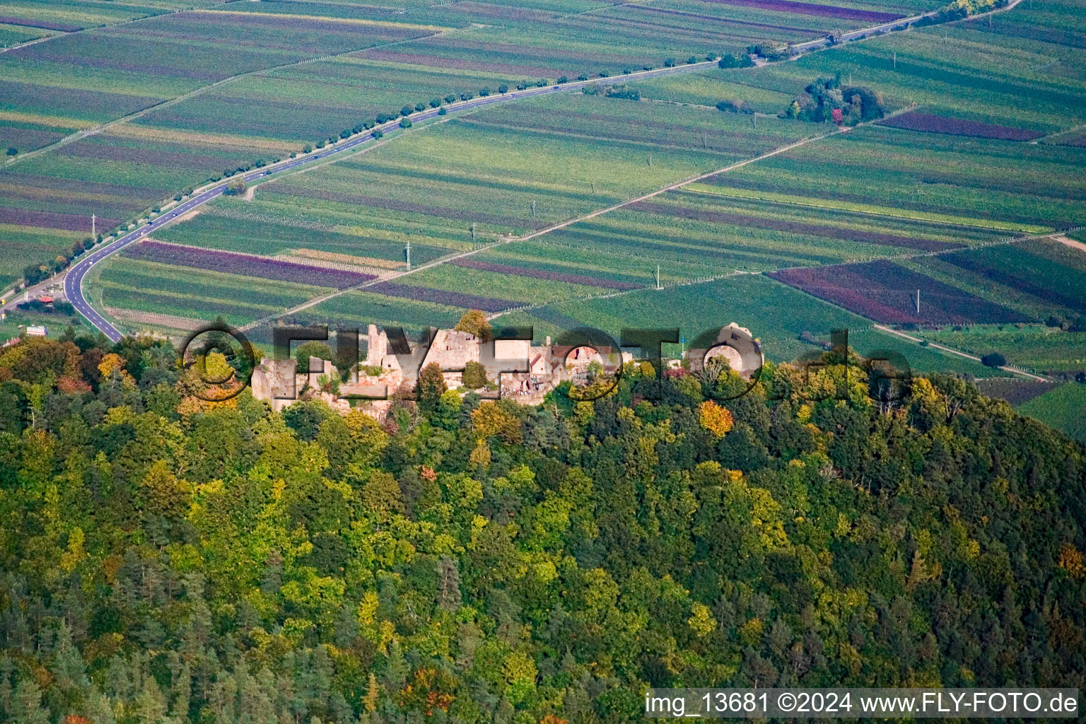 Vue aérienne de Ruines du château de Madenbourg à Waldhambach dans le département Rhénanie-Palatinat, Allemagne