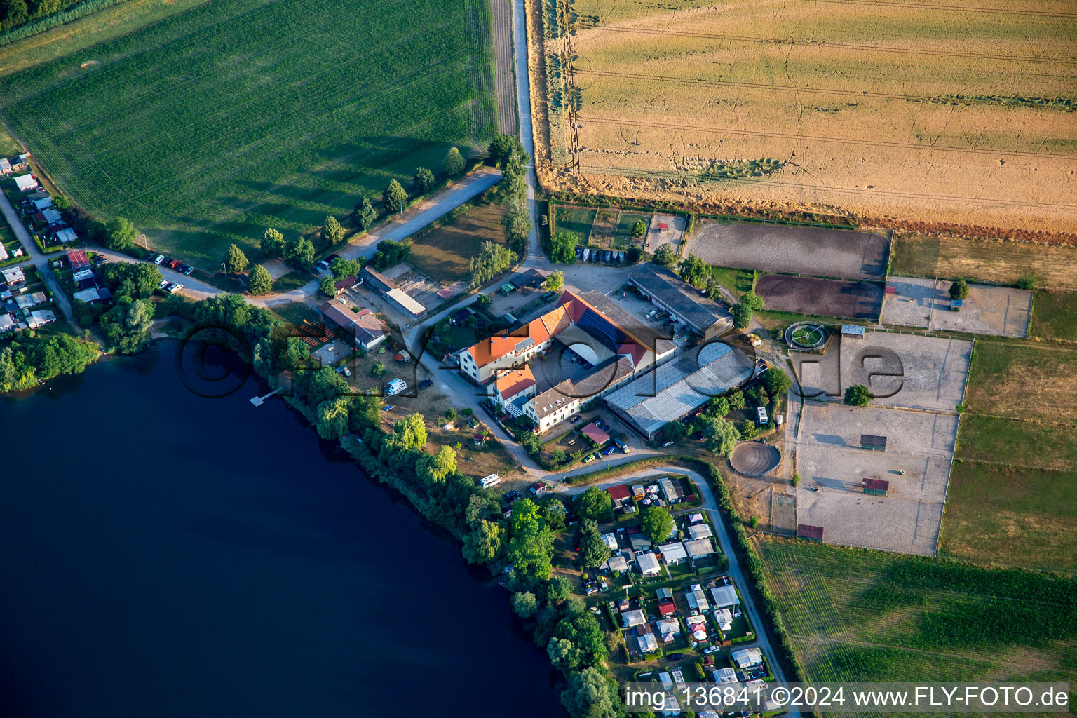 Vue aérienne de Gut Thomashof - camping et pension pour chevaux Fischer au Steinhäuserwühlsee à Speyer dans le département Rhénanie-Palatinat, Allemagne