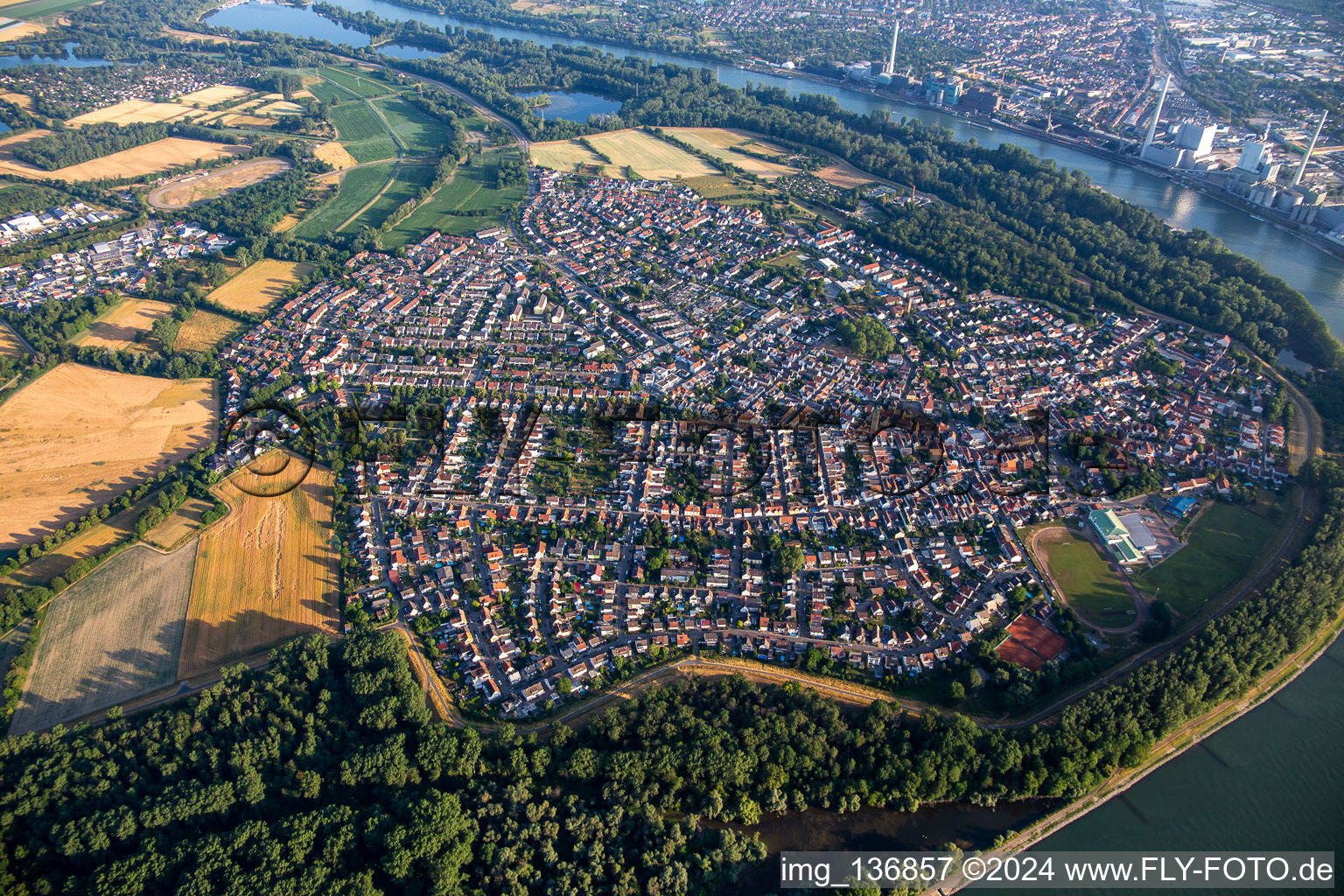 Vue aérienne de Alta Ripa au détour du Rhin à Altrip dans le département Rhénanie-Palatinat, Allemagne