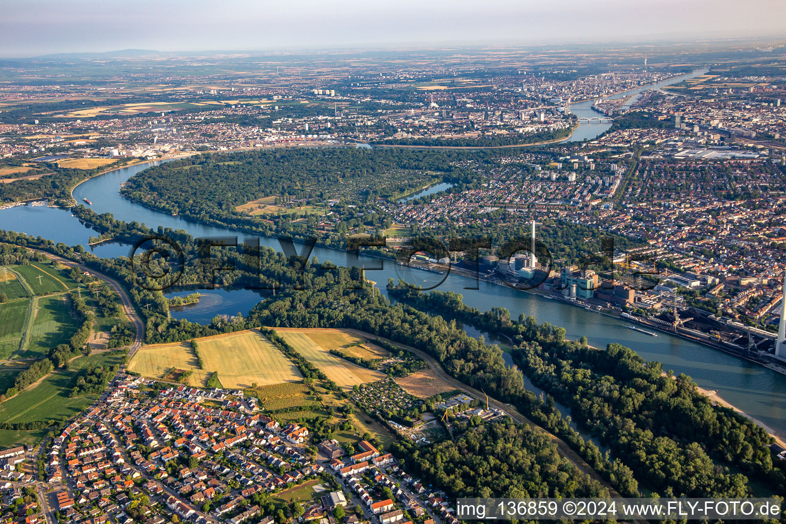 Vue aérienne de Parc forestier dans la boucle du Rhin à le quartier Niederfeld in Mannheim dans le département Bade-Wurtemberg, Allemagne