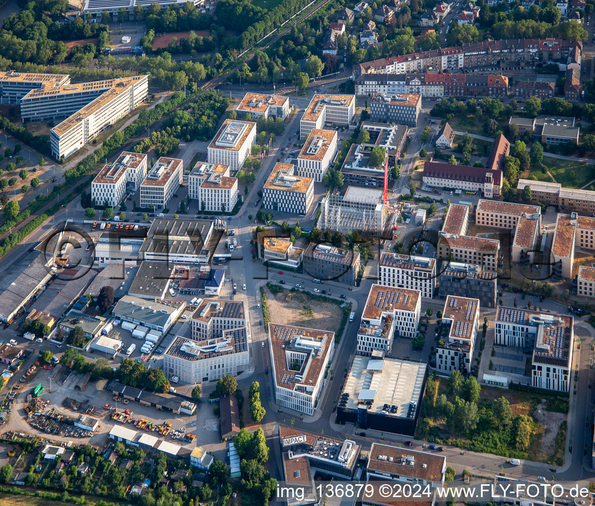 Vue aérienne de Rue Harrlach à le quartier Neuostheim in Mannheim dans le département Bade-Wurtemberg, Allemagne