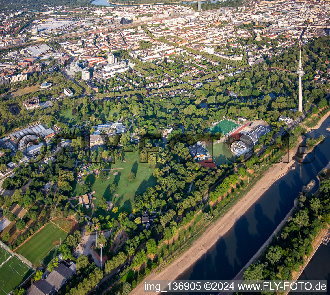 Vue oblique de Luisenpark Mannheim avec tour de télécommunication Mannheim sur le Neckar, partie du Salon fédéral des jardins 2023 BUGA23 à le quartier Oststadt in Mannheim dans le département Bade-Wurtemberg, Allemagne