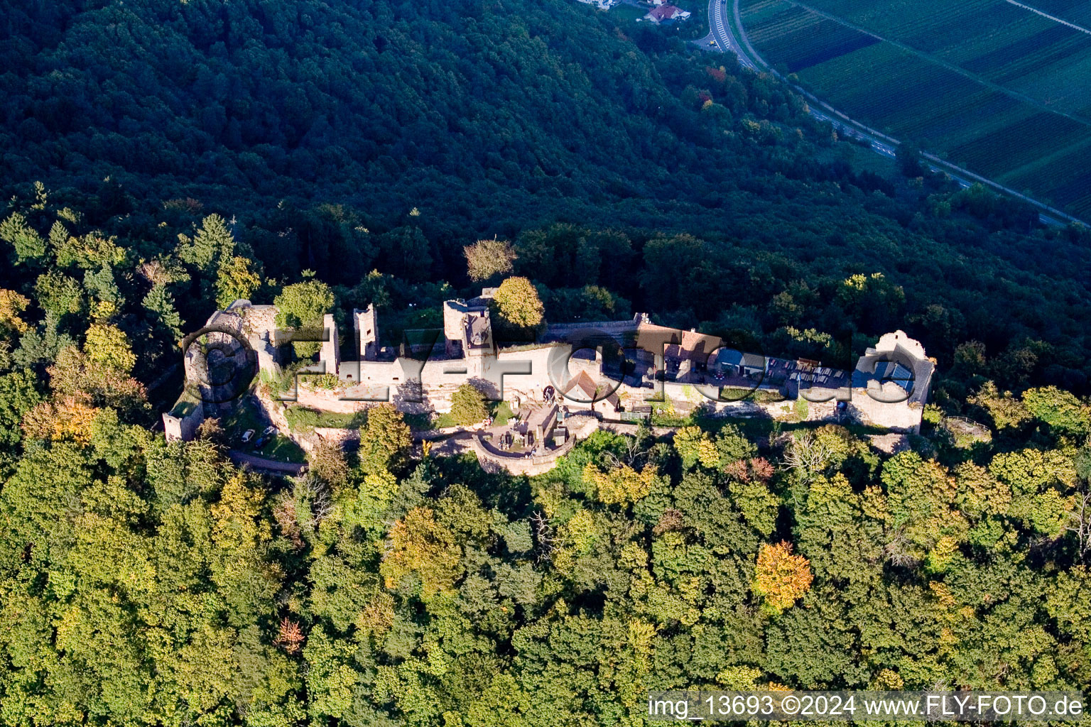 Photographie aérienne de Ruines du château de Madenbourg à Eschbach dans le département Rhénanie-Palatinat, Allemagne