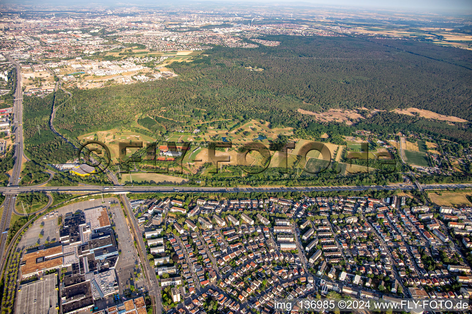 Vue aérienne de Club de Golf Mannheim-Viernheim 1930 eV à Viernheim dans le département Hesse, Allemagne