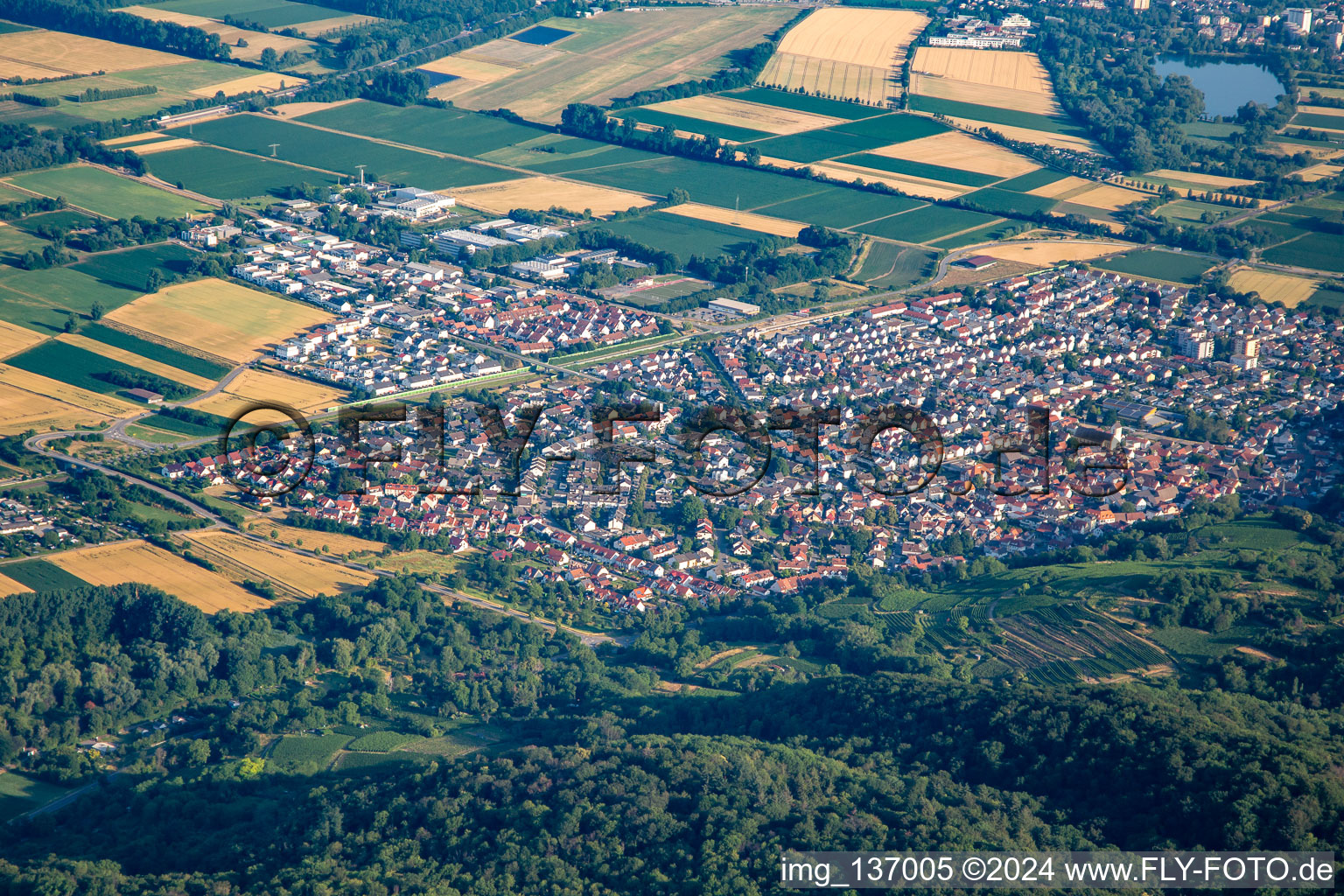 Photographie aérienne de Du sud-est à Laudenbach dans le département Bade-Wurtemberg, Allemagne