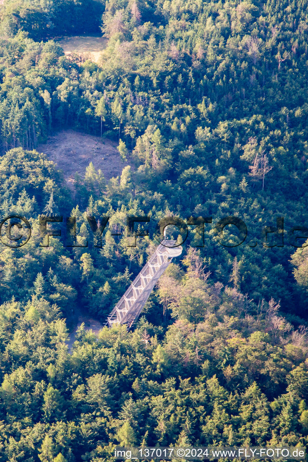 Vue aérienne de Tour de tambour Rimbach à le quartier Zotzenbach in Rimbach dans le département Hesse, Allemagne