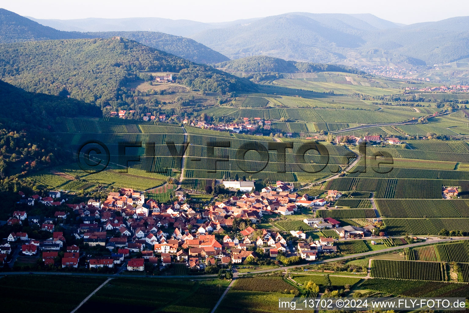 Vue aérienne de Du sud à Leinsweiler dans le département Rhénanie-Palatinat, Allemagne