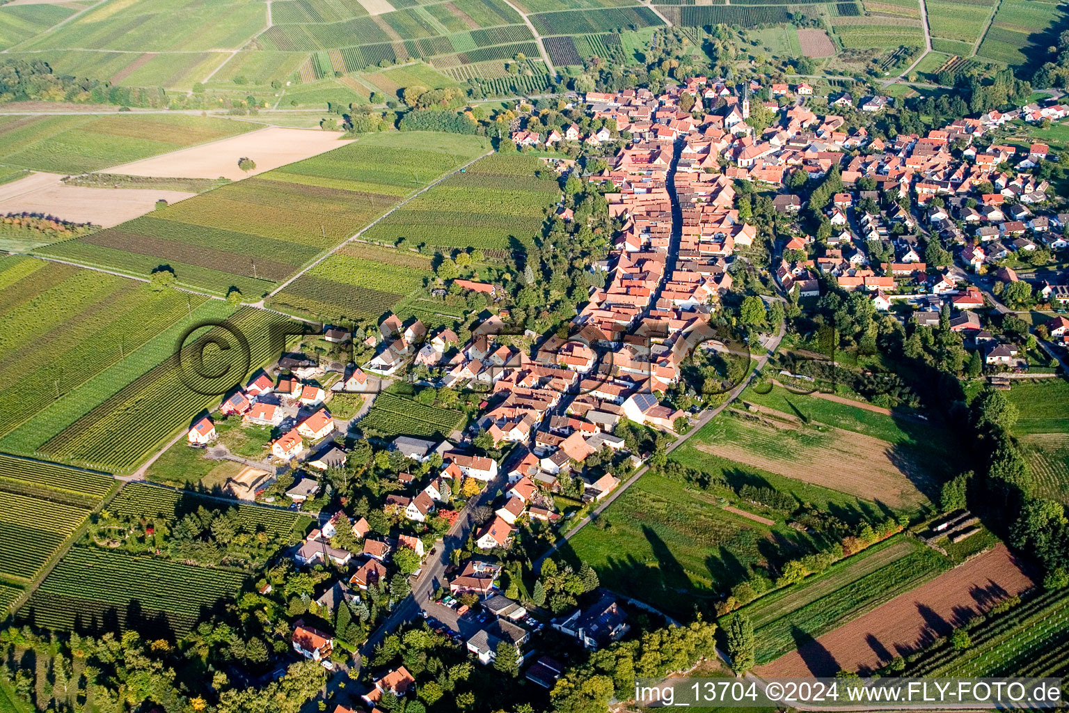 Göcklingen dans le département Rhénanie-Palatinat, Allemagne depuis l'avion