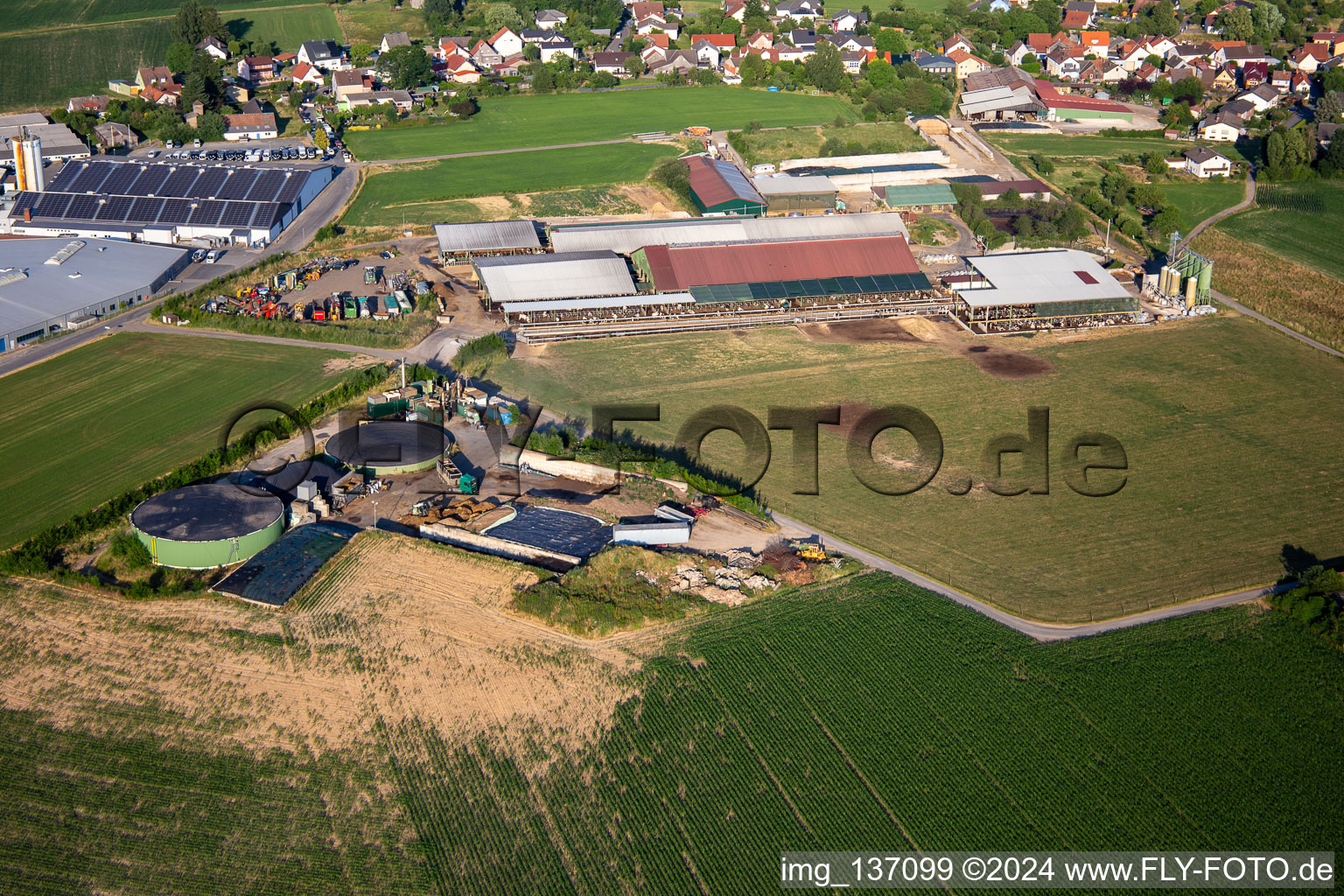 Vue aérienne de Siefert Horst à le quartier Vielbrunn in Michelstadt dans le département Hesse, Allemagne