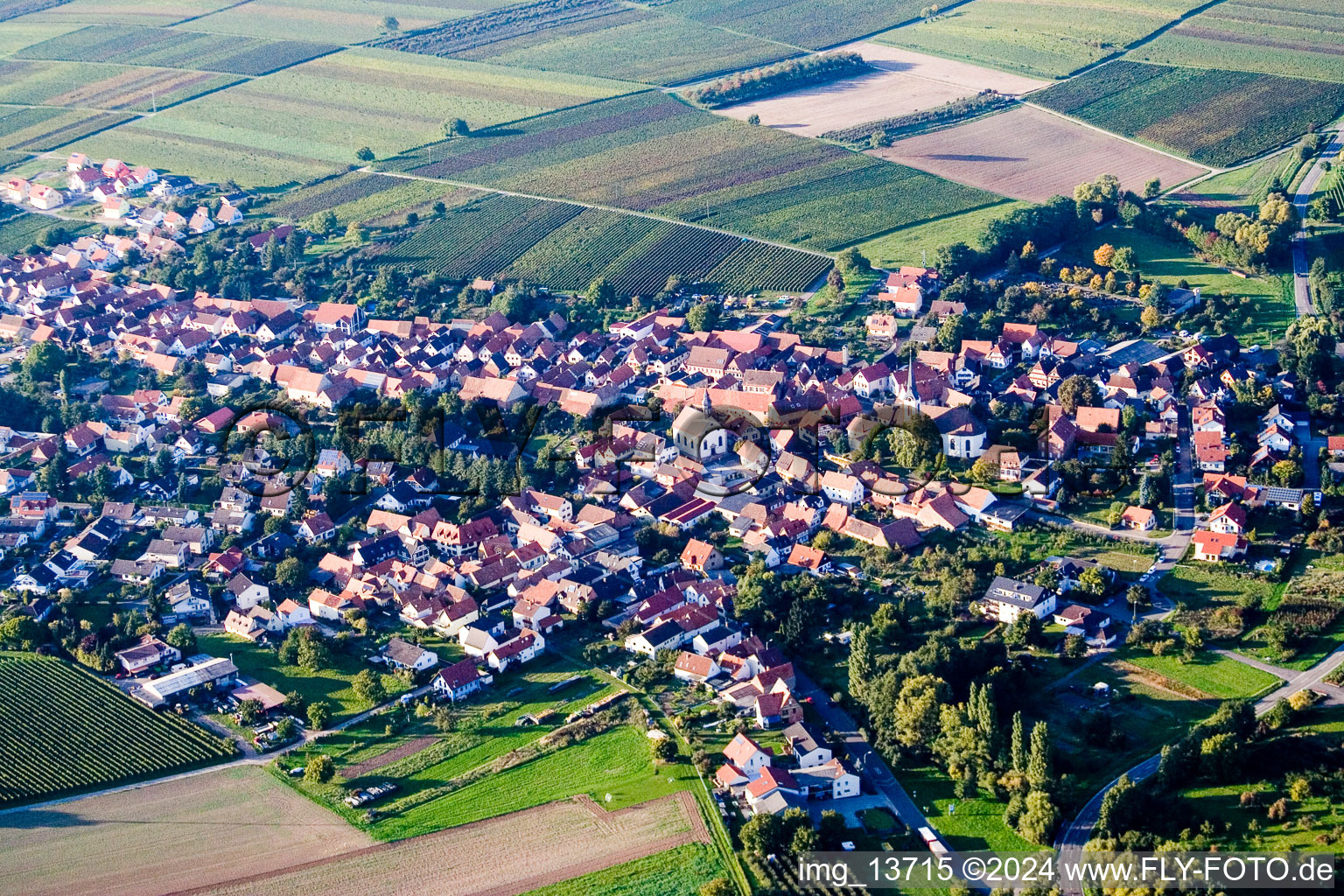 Enregistrement par drone de Göcklingen dans le département Rhénanie-Palatinat, Allemagne