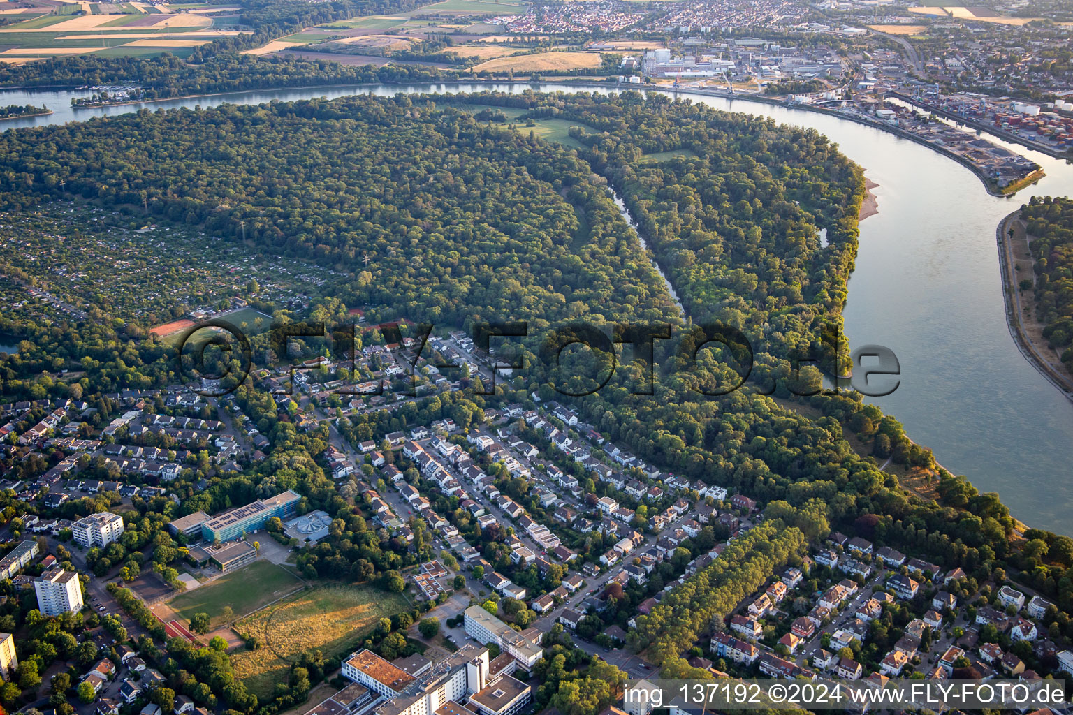 Vue aérienne de Reississel, réserve naturelle dans la boucle du Rhin à le quartier Niederfeld in Mannheim dans le département Bade-Wurtemberg, Allemagne