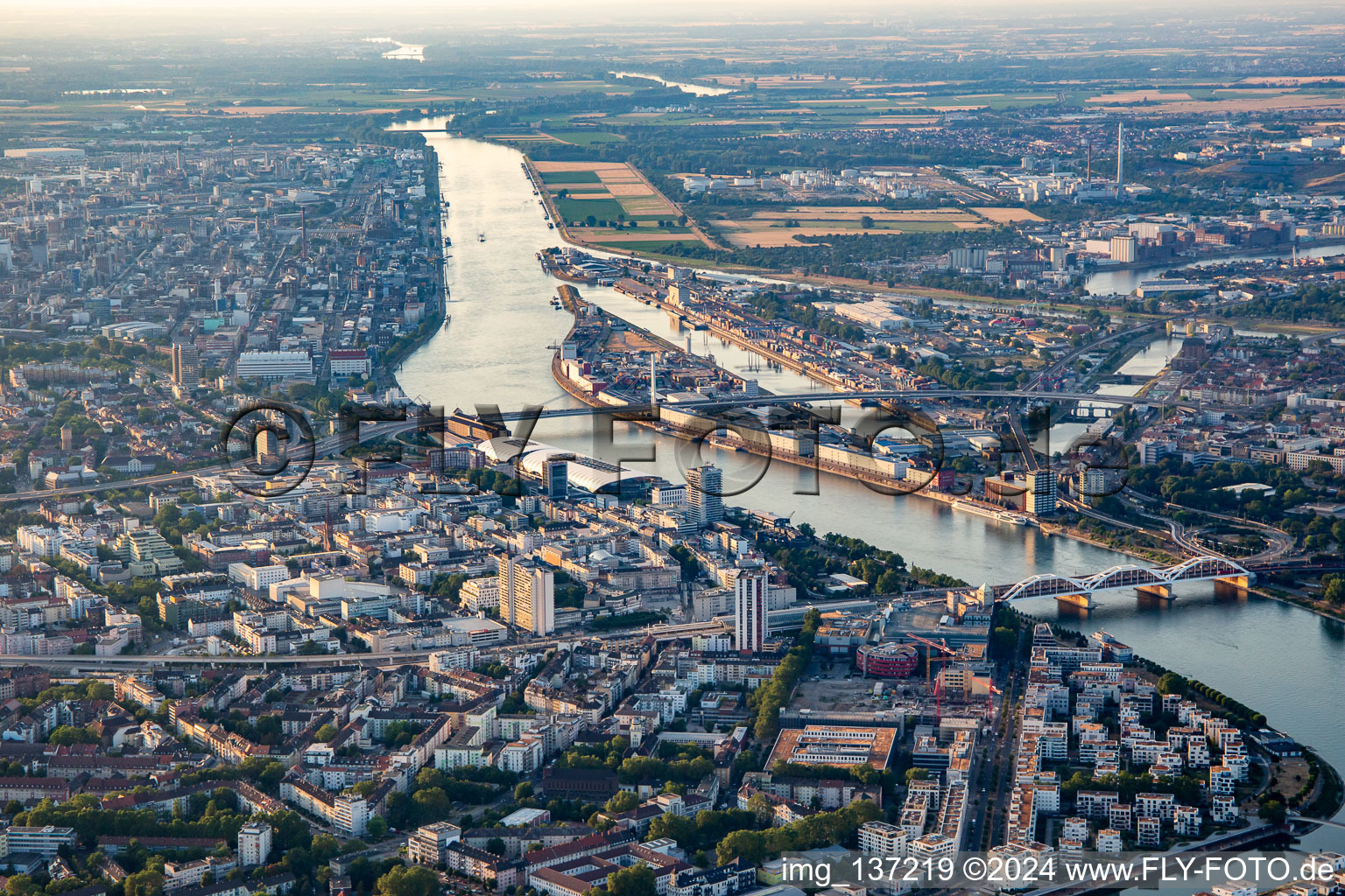 Vue aérienne de Ponts sur le Rhin vers Mannheim depuis le sud à le quartier Süd in Ludwigshafen am Rhein dans le département Rhénanie-Palatinat, Allemagne