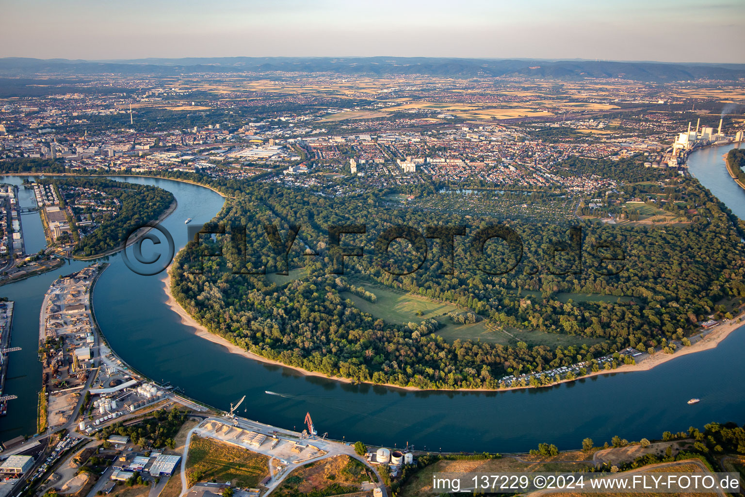 Vue aérienne de Reississel et parc forestier, réserve naturelle dans la boucle du Rhin depuis le sud à le quartier Niederfeld in Mannheim dans le département Bade-Wurtemberg, Allemagne