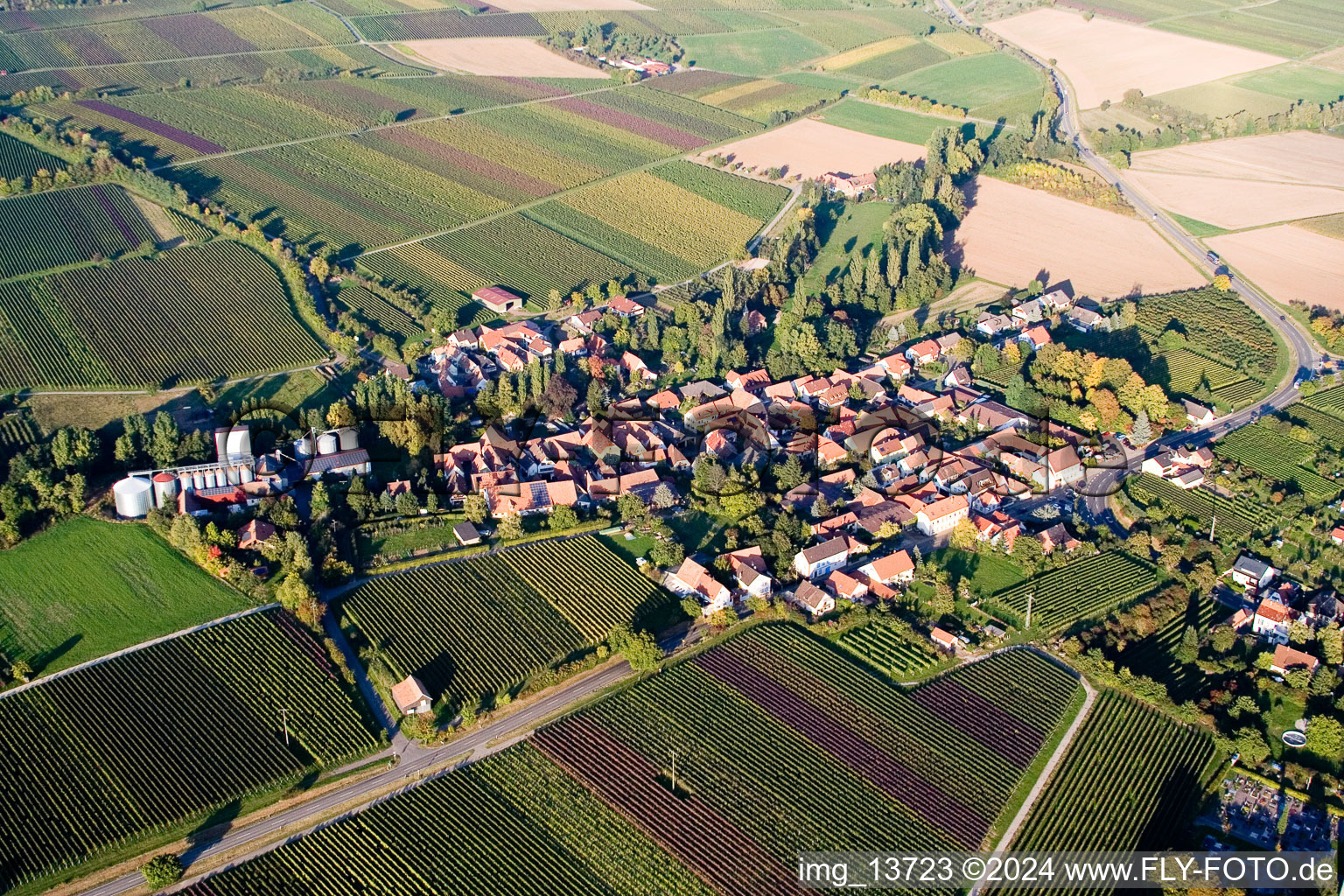 Vue aérienne de Vue des rues et des maisons des quartiers résidentiels à le quartier Appenhofen in Billigheim-Ingenheim dans le département Rhénanie-Palatinat, Allemagne