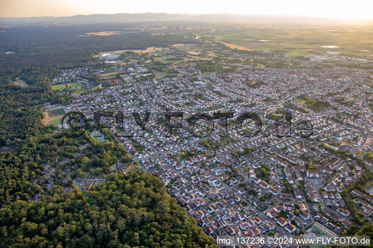 Vue aérienne de De l'est à Schifferstadt dans le département Rhénanie-Palatinat, Allemagne